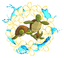 Family of Turtles swimming in O